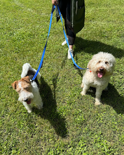 Woofy: Garderie and Pension-Hôtel pour Chien